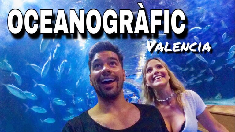 Descubre el increíble precio de las entradas al Oceanográfico de Valencia: ¡una experiencia única!
